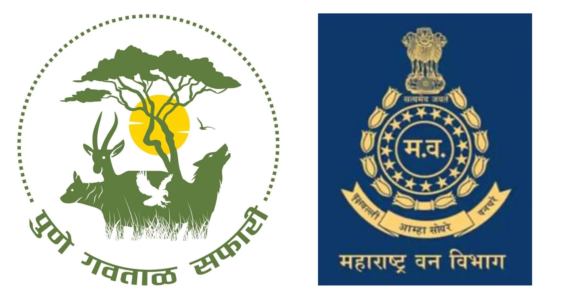 Government Logo